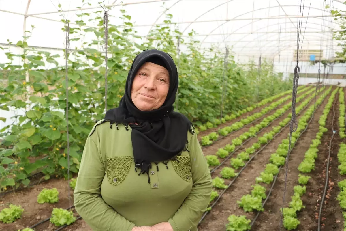 Kadın Çiftçi Sera ile Aile Bütçesine Destek Oluyor