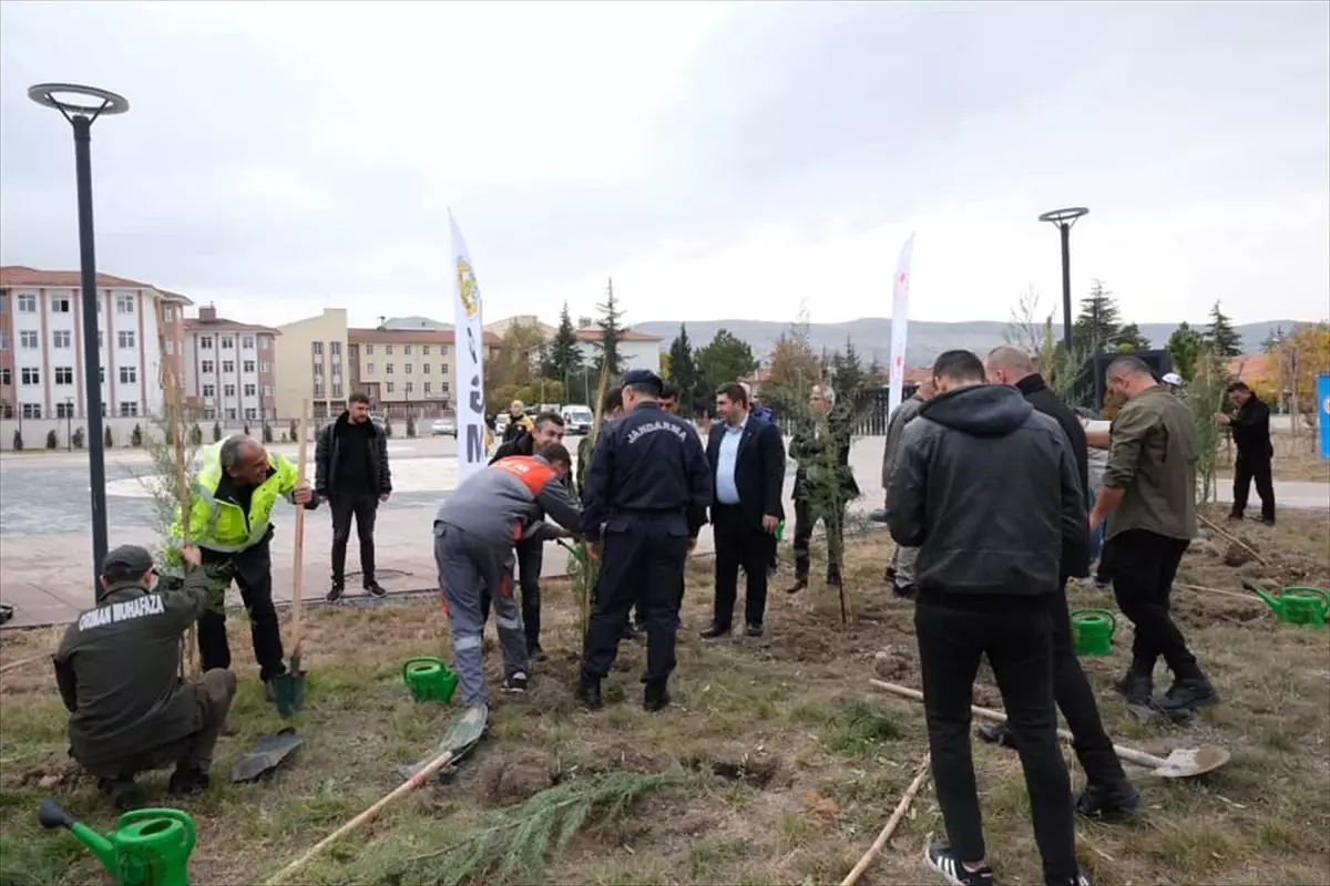 Güdül’de Ağaçlandırma Etkinliği