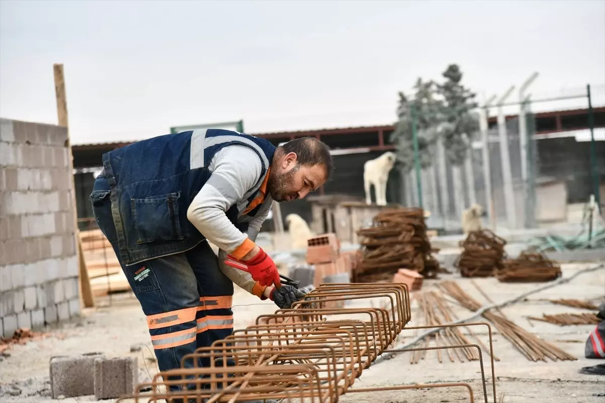 Mamak’ta Sokak Hayvanları Bakım Evi Yenileniyor